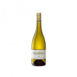 Tomas Postigo Blanco 2016