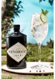 Gin Hendrick's